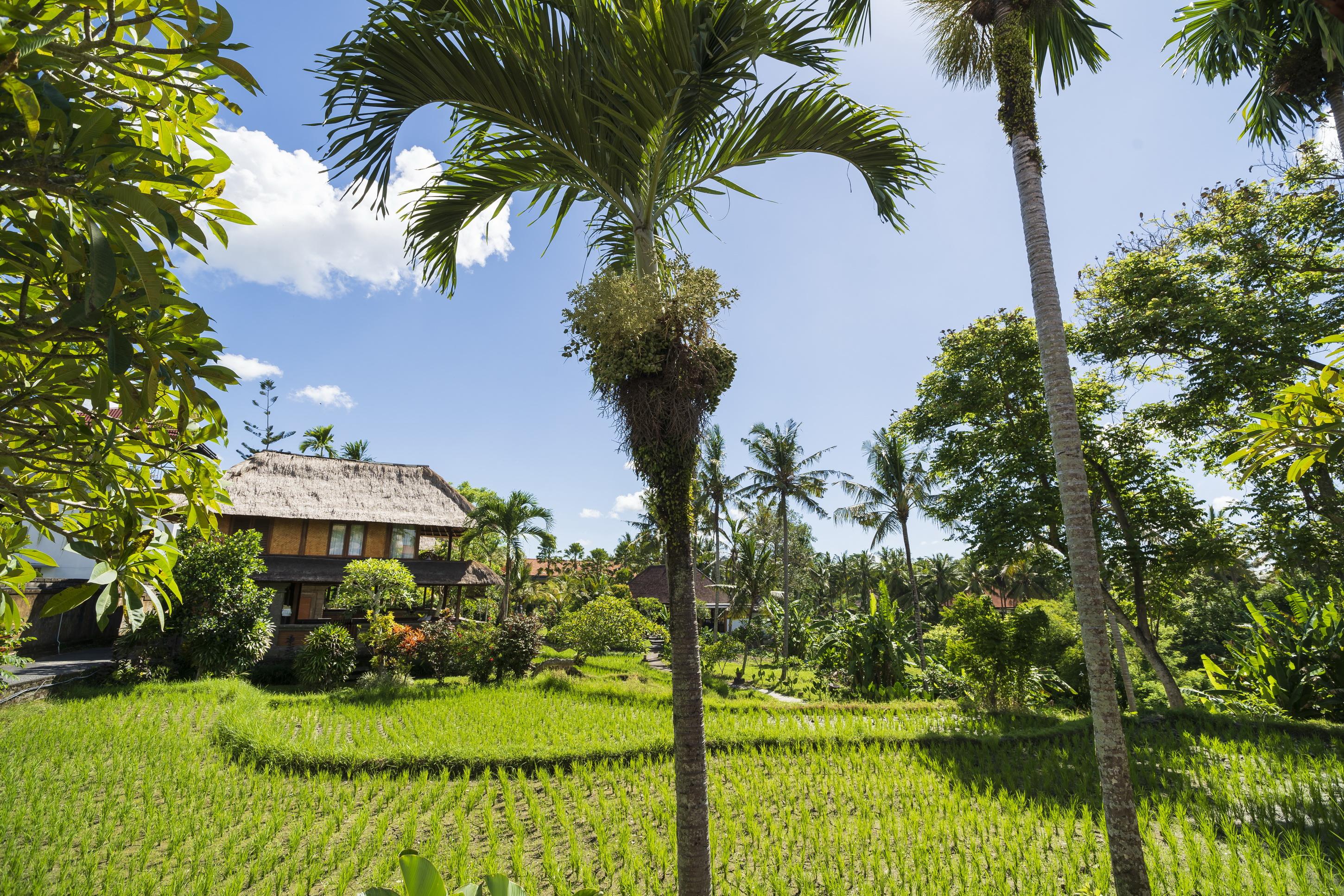 Agung Raka Villa Ubud Zewnętrze zdjęcie