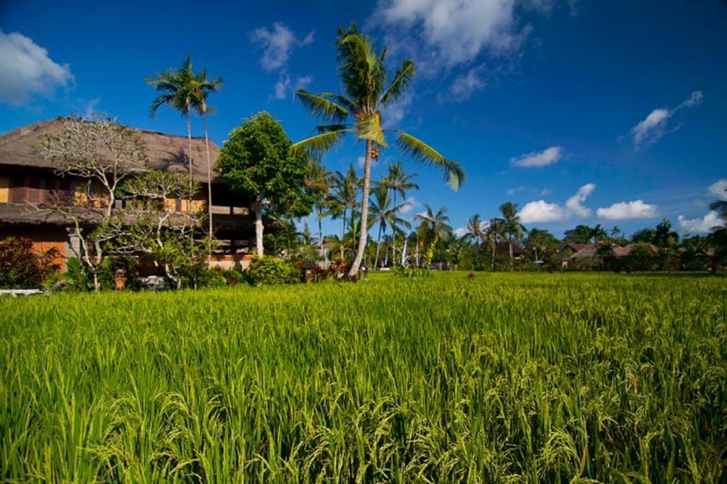 Agung Raka Villa Ubud Zewnętrze zdjęcie